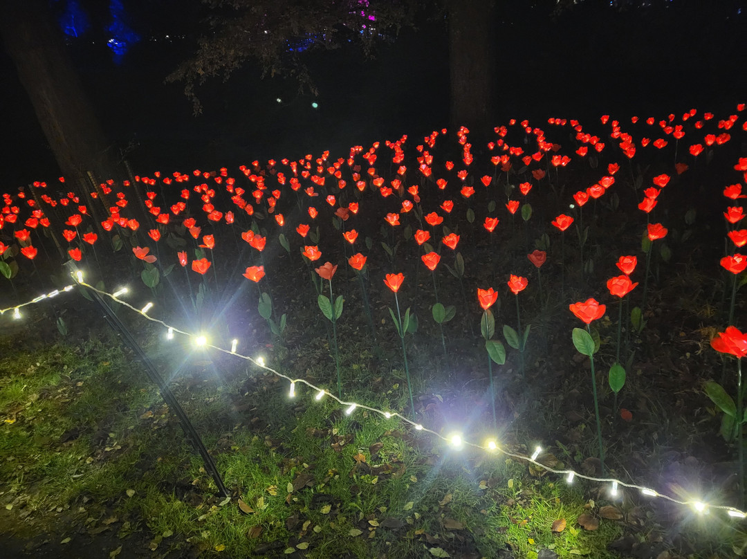 Light Up Trails-罗姆西必去景点