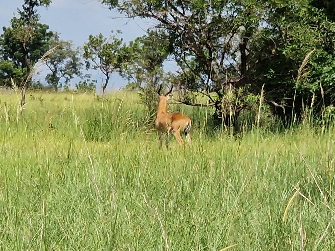 TANF Charity-Tours-Aburi必去景点
