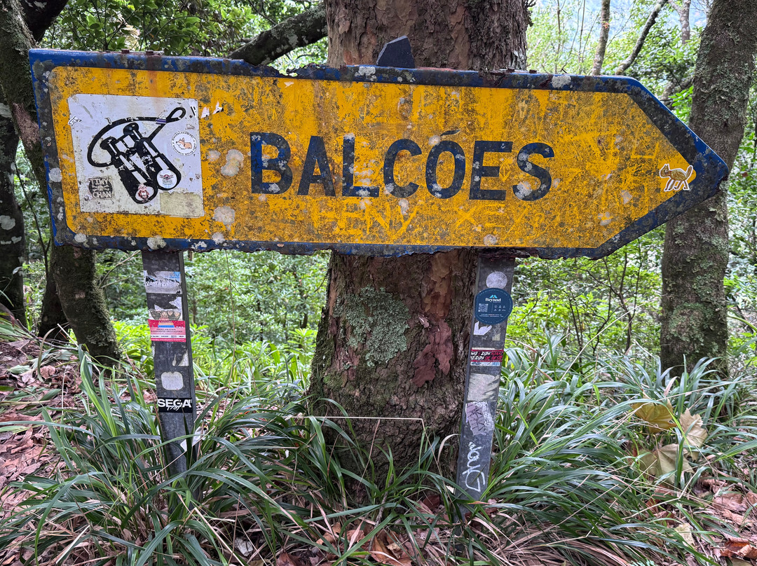 PR11 Vereda dos Balcões-Ribeiro Frio必去景点