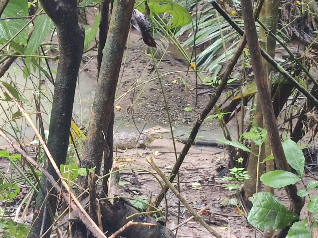 Panama Road Trips-巴拿马城必去景点