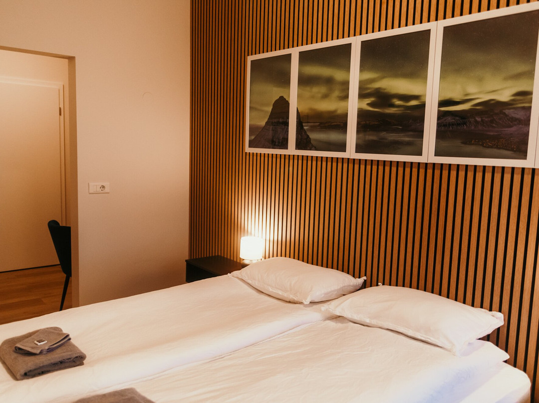 Iceland Guesthouse - Hvítá主图