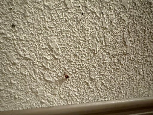 Tru by Hilton Rocky Mount主图