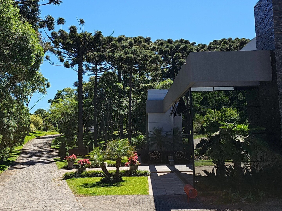 Vinicola Quinta Don Bonifacio-南卡希亚斯必去景点