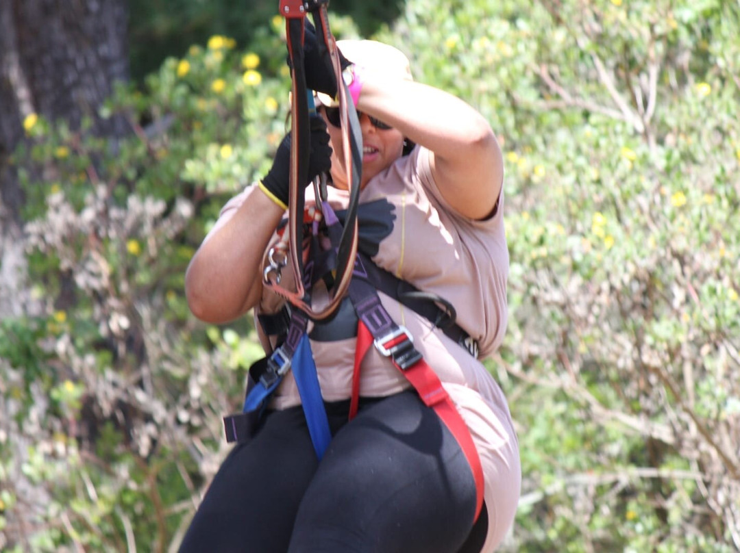 Acrobranch Garden Route-荒野必去景点