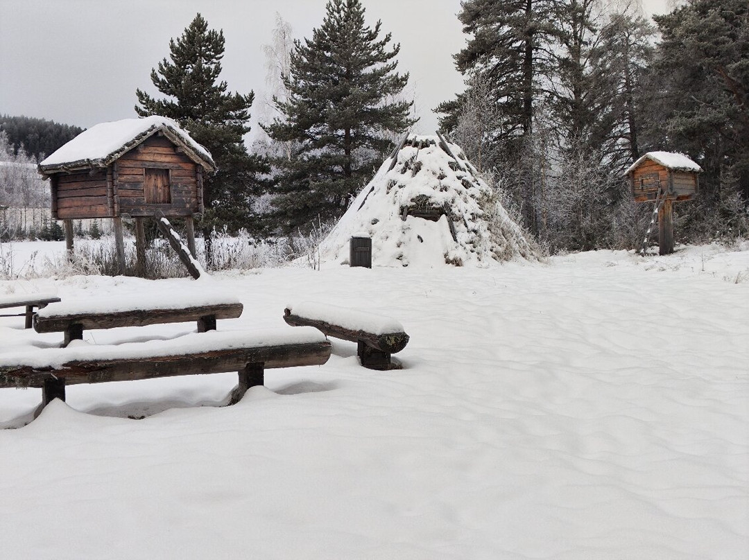 Gammplatsen-Lycksele必去景点