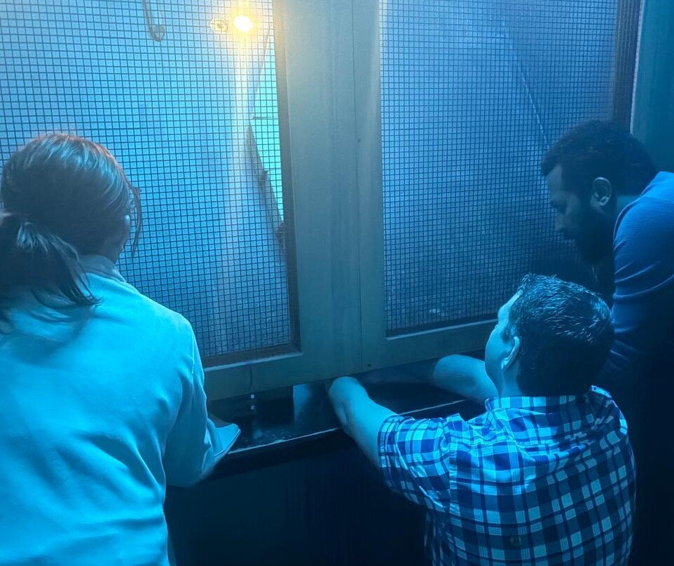 Prison Island Abu Dhabi Mall-阿布扎比必去景点