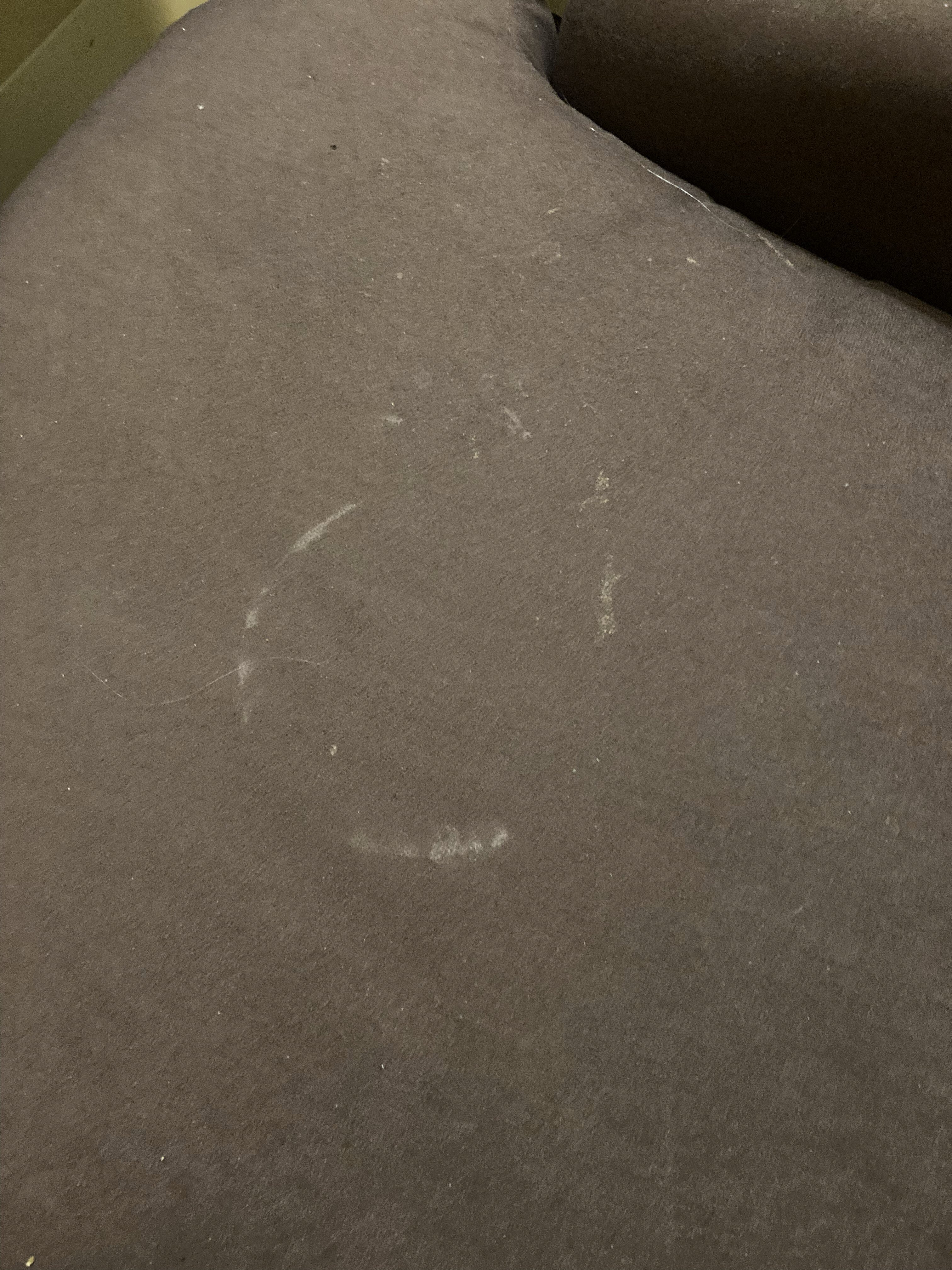 水星北布拉德福德酒店-客卧