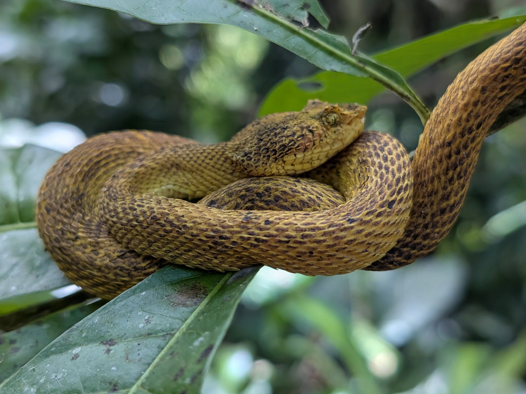 Brother's Adventures Tours-萨迪纳尔必去景点