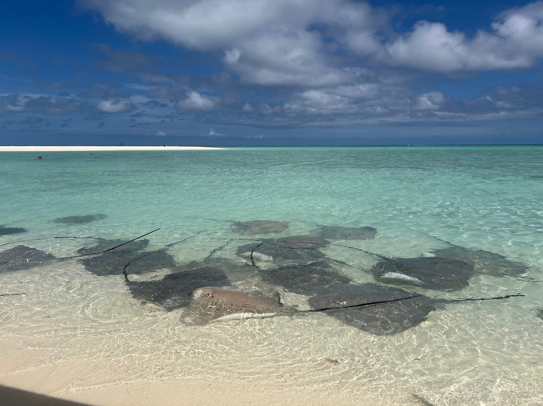 Hevana Maldives主图