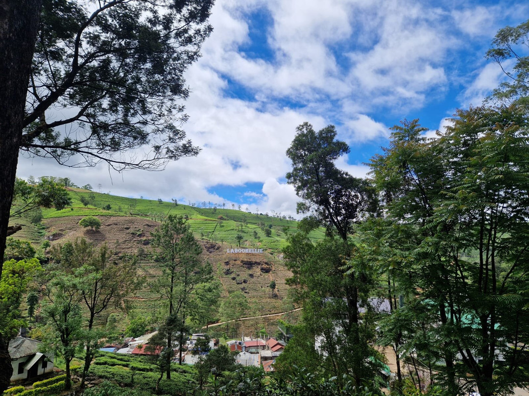 Journey To Ceylon-Udugama必去景点