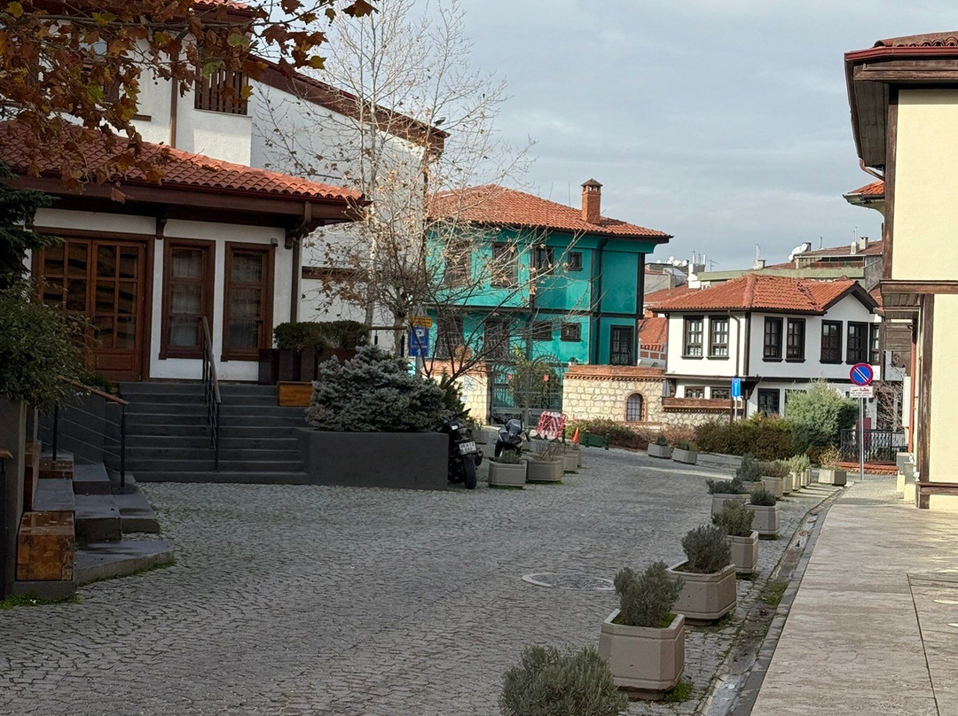 Odunpazari Evleri-埃斯基谢希尔必去景点