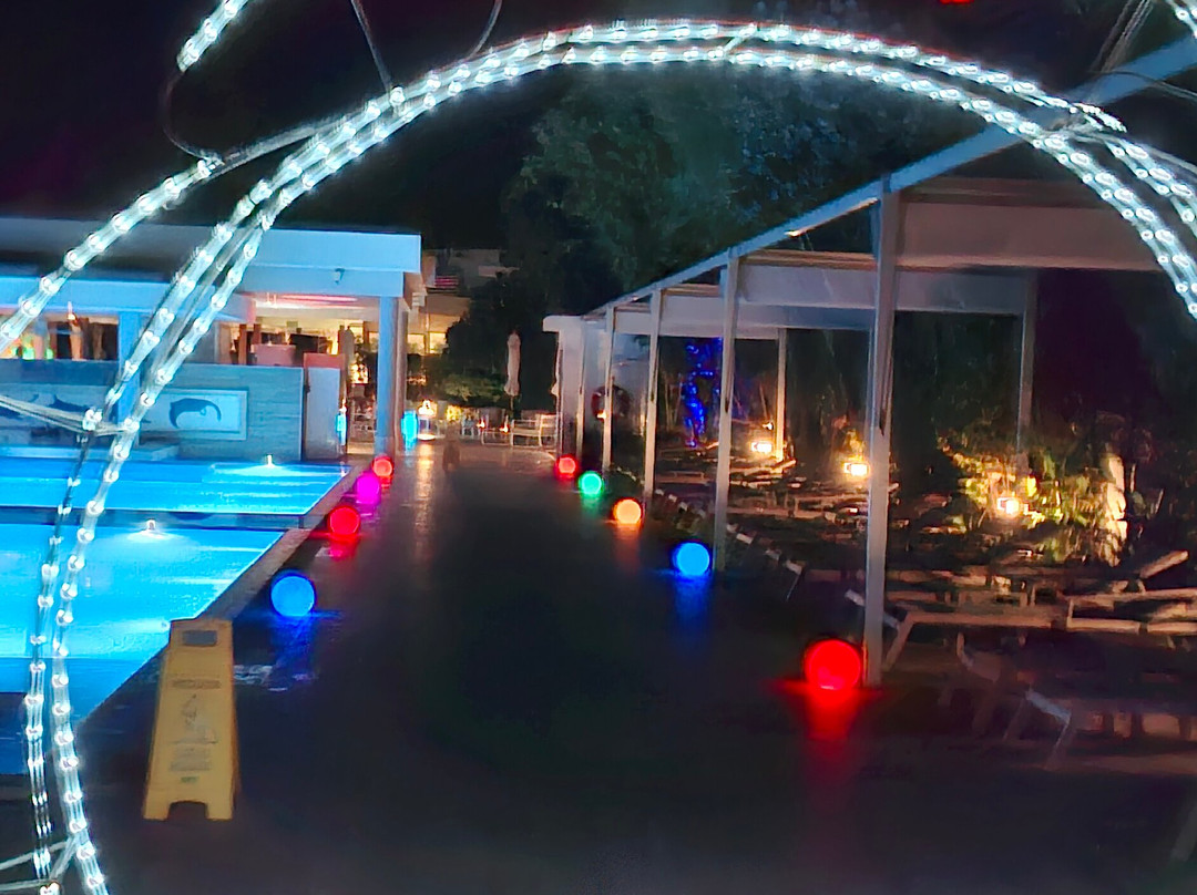 Paradise Pool Bar