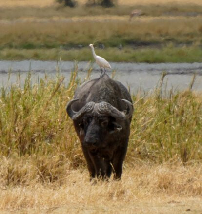 Tansania Reiseabenteuer SDL GmbH-柏林必去景点