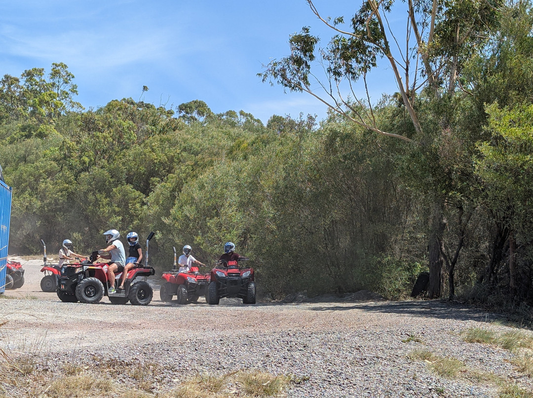 Sand Dune Adventures - Tours-威廉斯顿必去景点