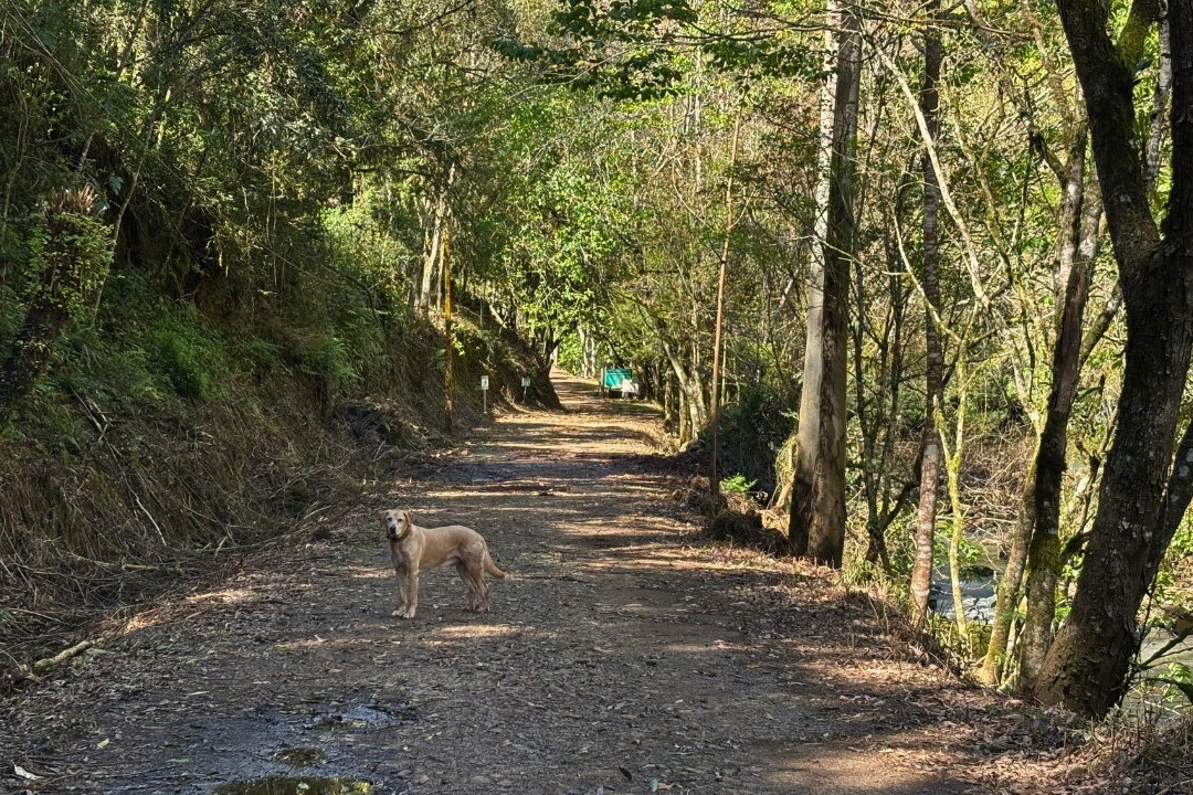 Cascata do Maringá-Vila Maria必去景点