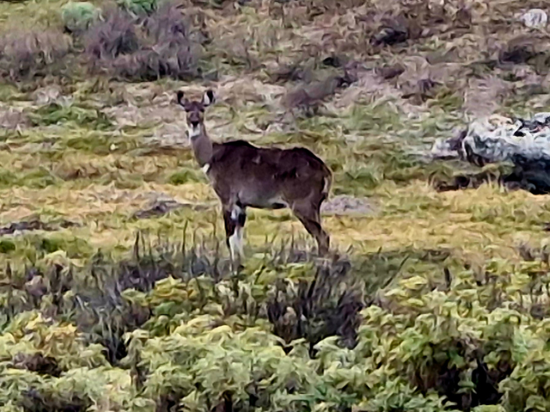 Addis Tour Guide-亚的斯亚贝巴必去景点