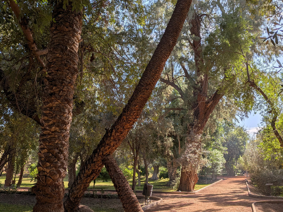 阿塞特‧穆莱‧阿布德斯兰数码公园-马拉喀什必去景点