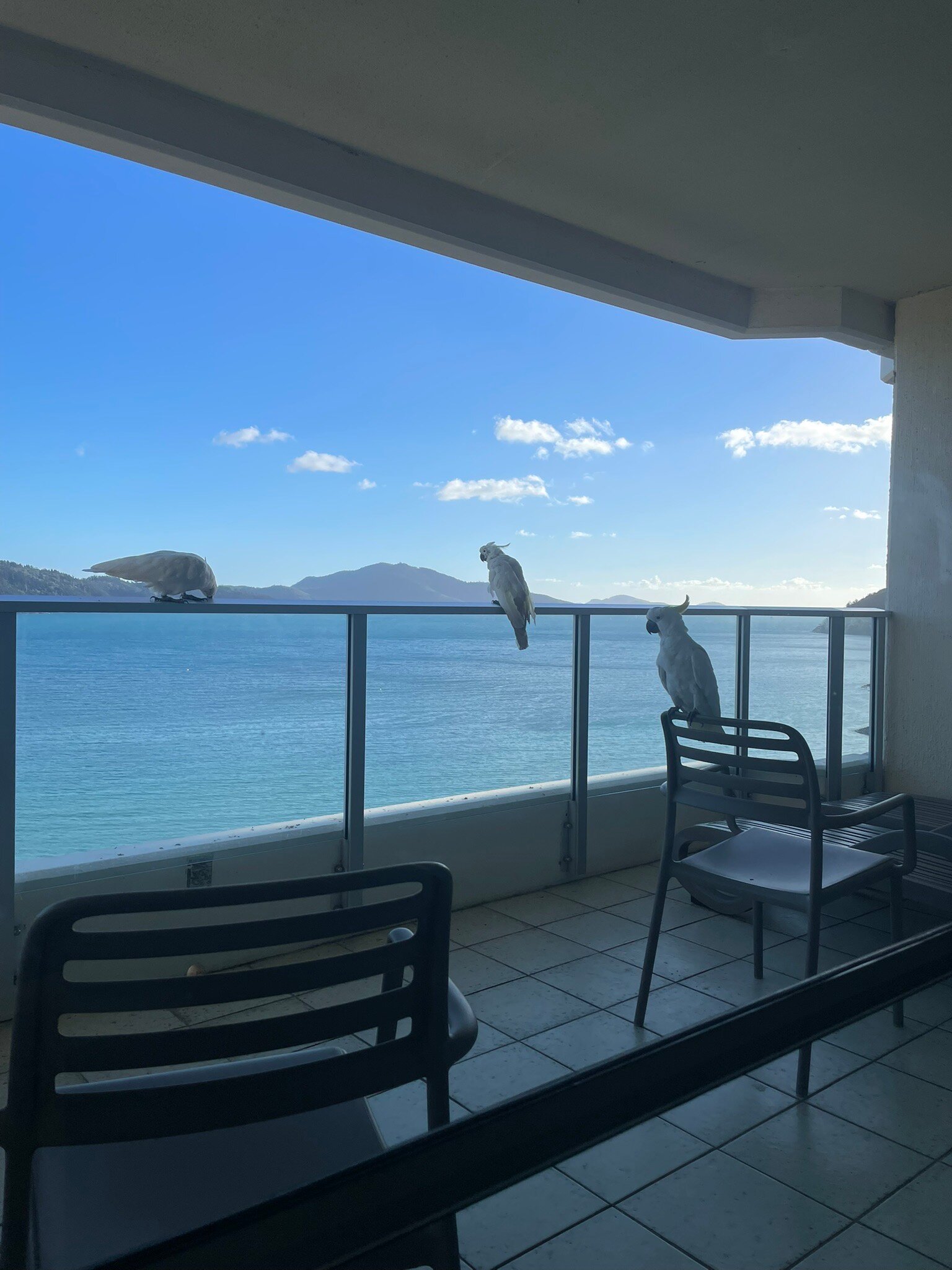 圣灵礼拜天假日公寓-官方