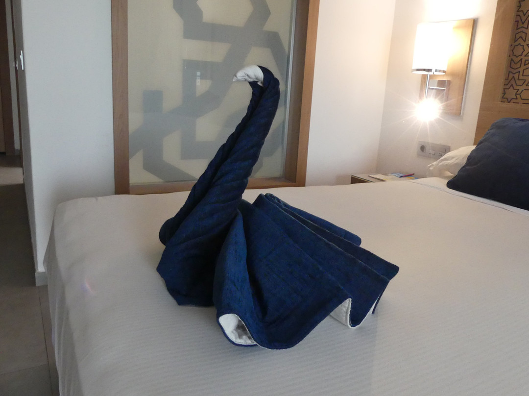 Hotel Riu Palace Boavista主图