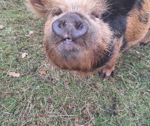 Het Land van Kempers-Geesteren必去景点