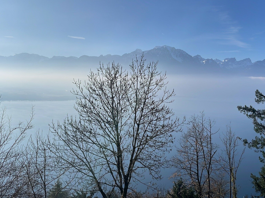 Funiculaire Territet - Glion-泰里特必去景点