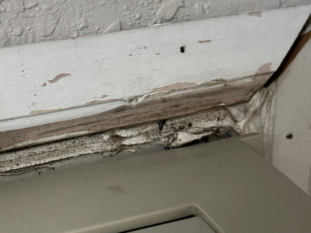 Best Western Luxbury Inn Fort Wayne主图