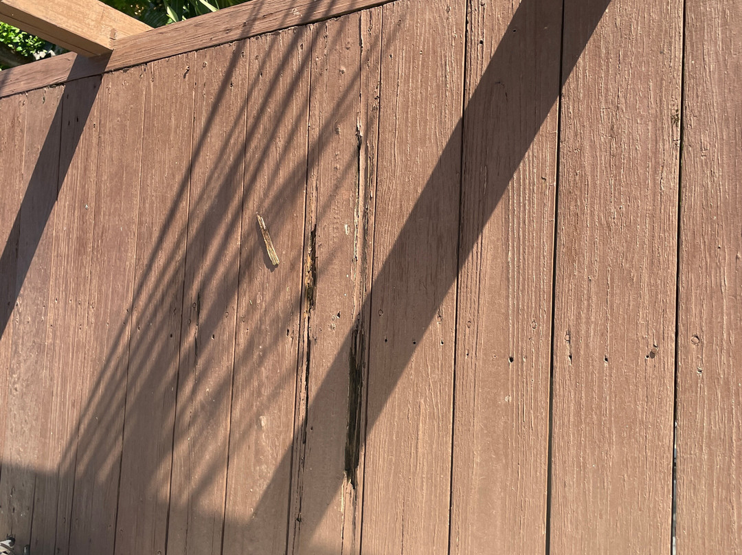 Hummingbird House主图