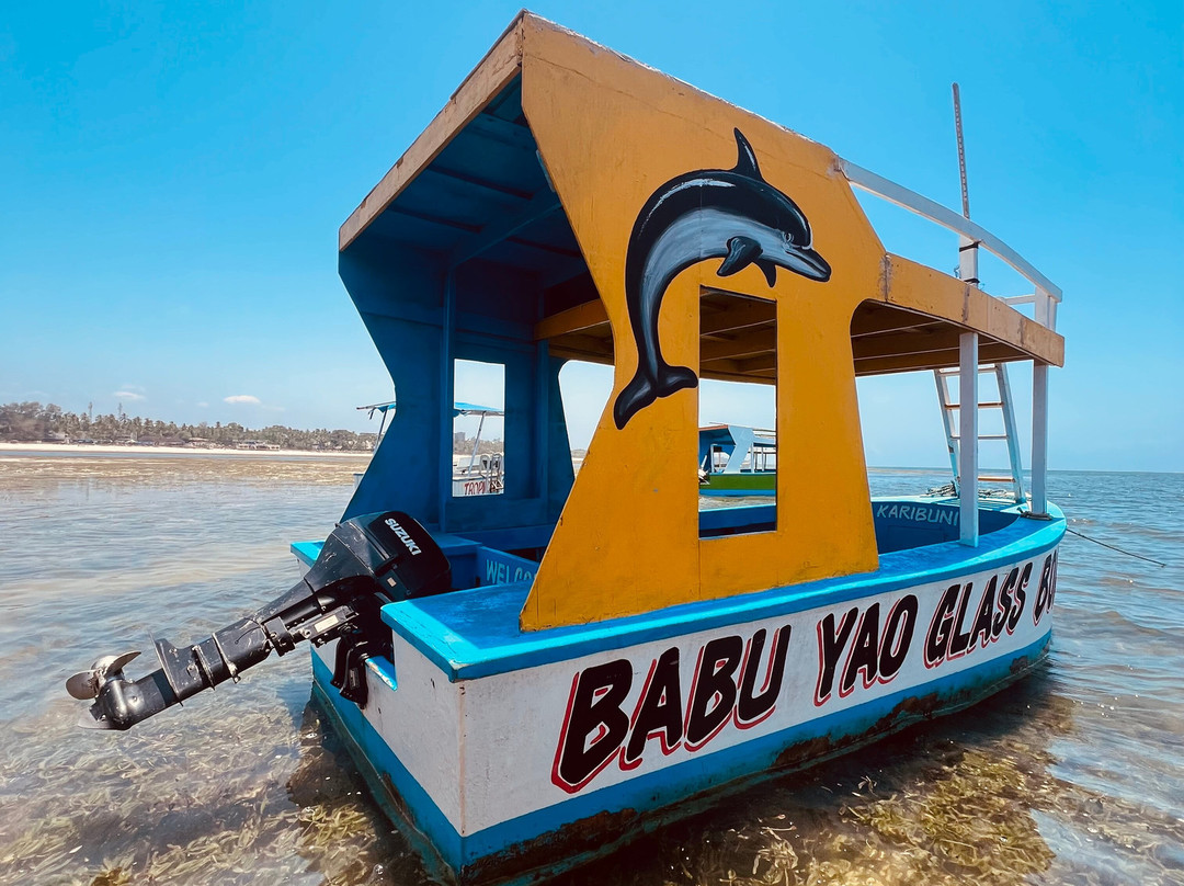 Mombasa Marine National Park-蒙巴萨必去景点