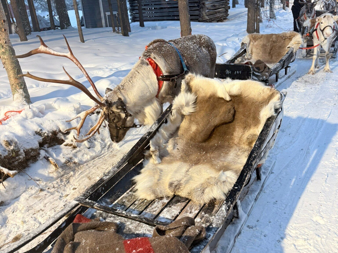 Jaakkola Reindeer Farm-Luosto必去景点