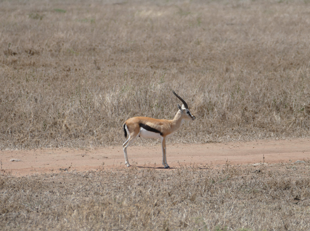 Zara Tanzania Adventures-莫西必去景点