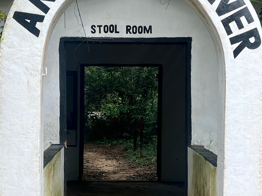 Tripafrica Tours-Tamale必去景点