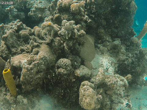 ScubaLibre Varadero-巴拉德罗必去景点