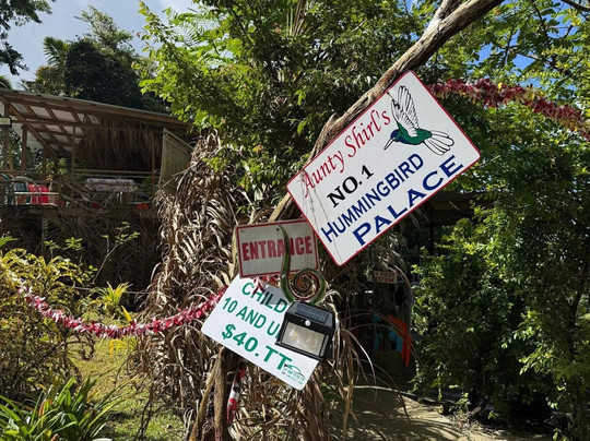 Ellis Tours Tobago-克朗波因特必去景点