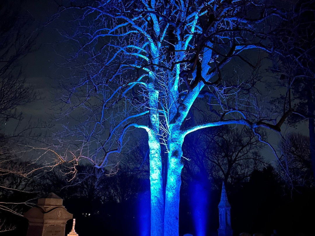 奥本山公墓公园-剑桥必去景点