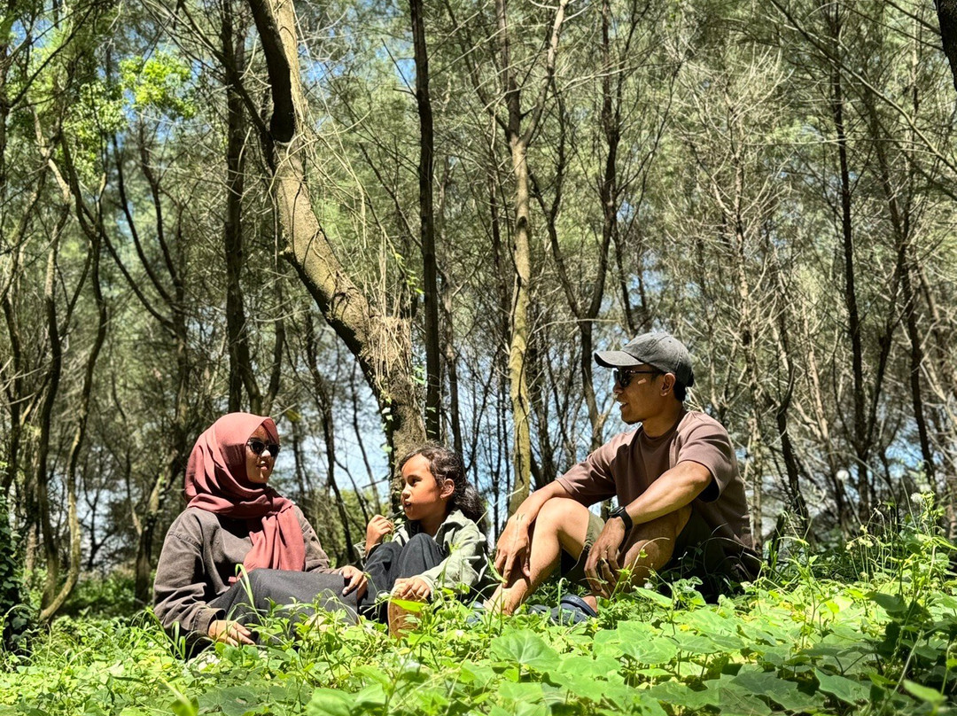 Jogja Visit Tour-Yogyakarta必去景点