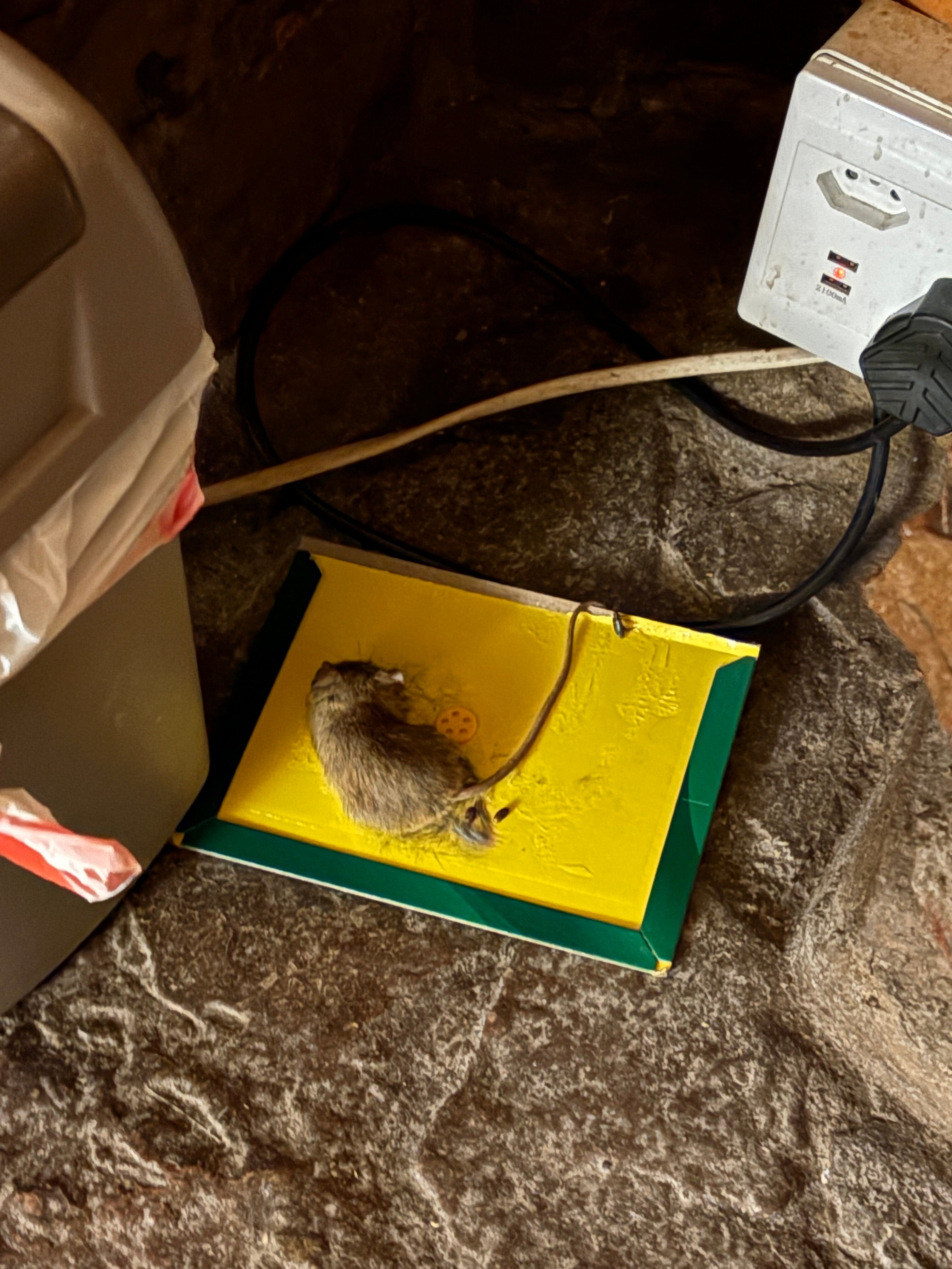 Aquila Private Game Reserve-官方