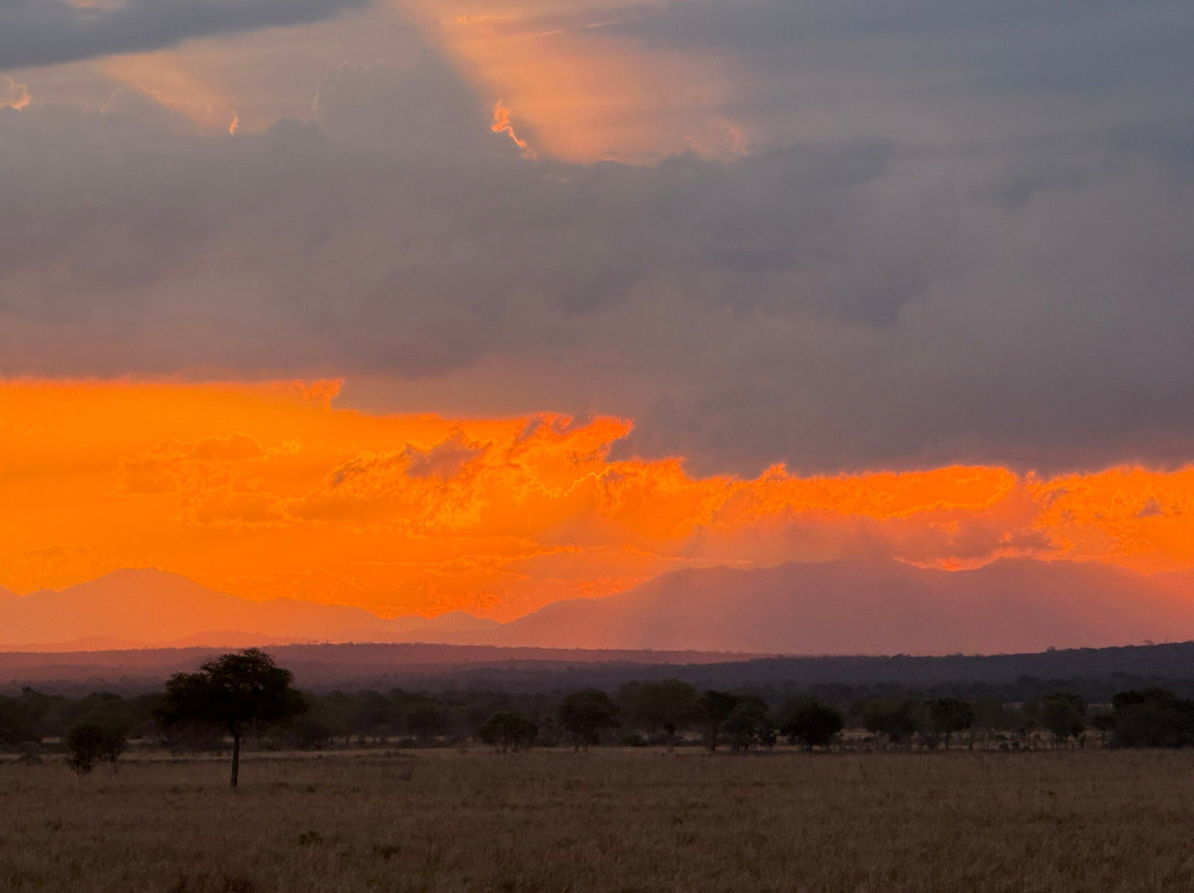 Kima Adventures-Dar es Salaam必去景点