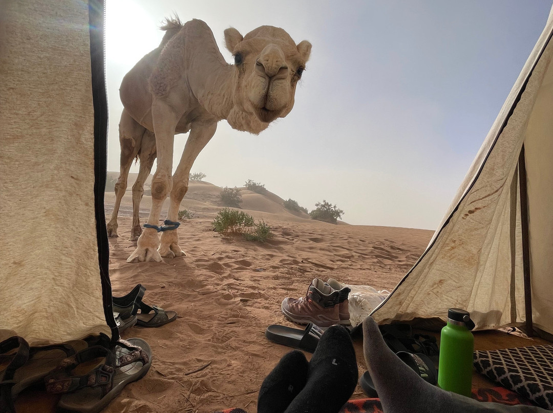 Sahara Steps-扎古拉必去景点