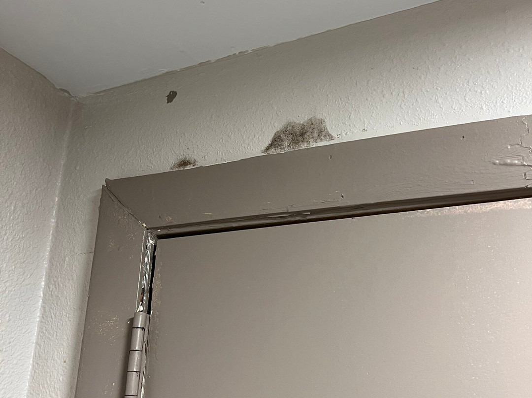 Quality Inn Whiteville主图