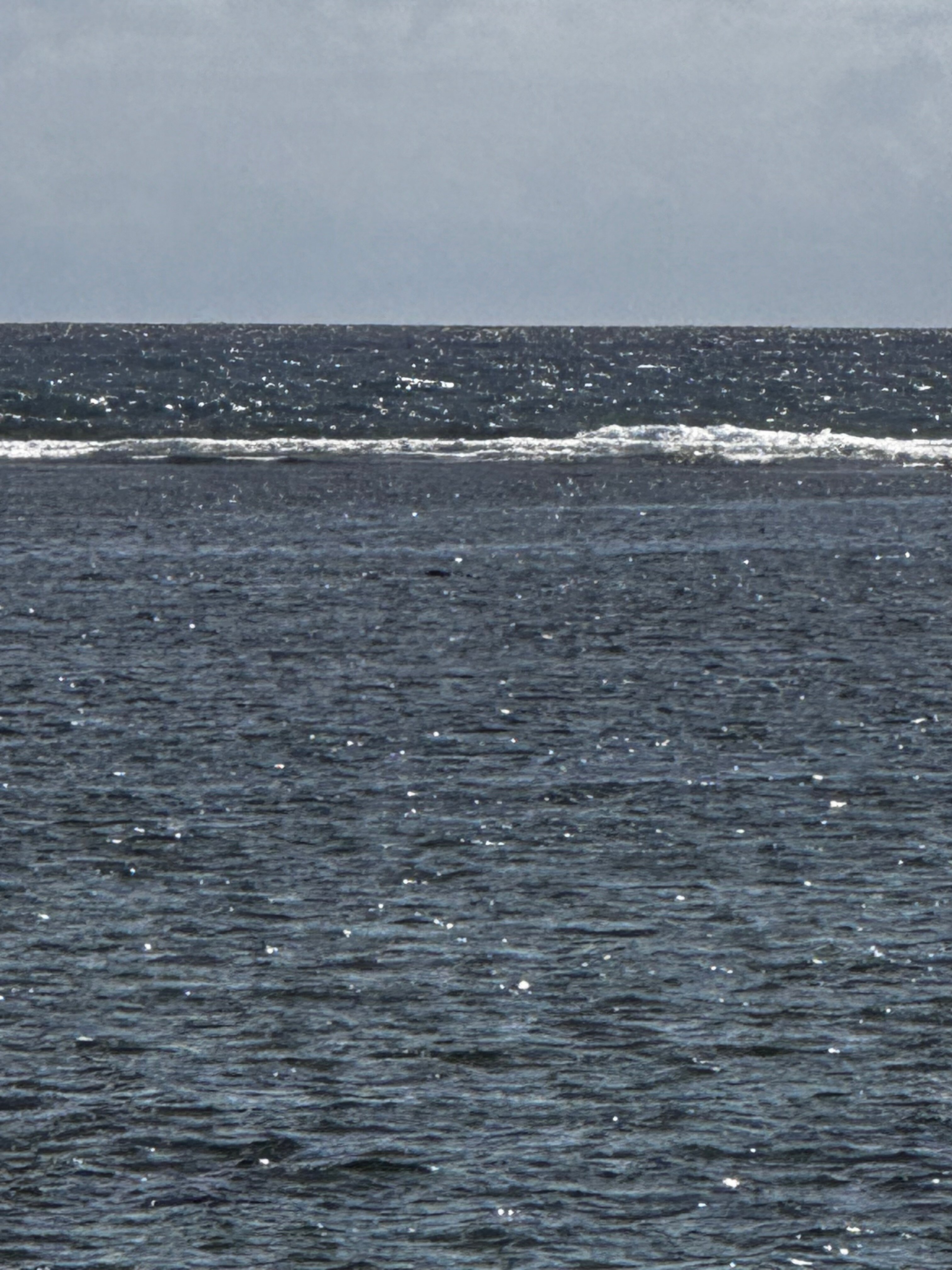 琪琪的天堂-官方