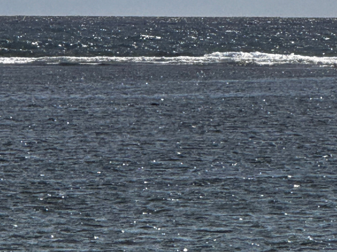 琪琪的天堂主图