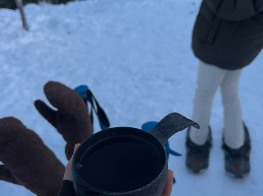 Polar Star Travel Levi-Levi必去景点