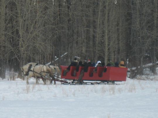 Banff Trail Riders-班夫必去景点
