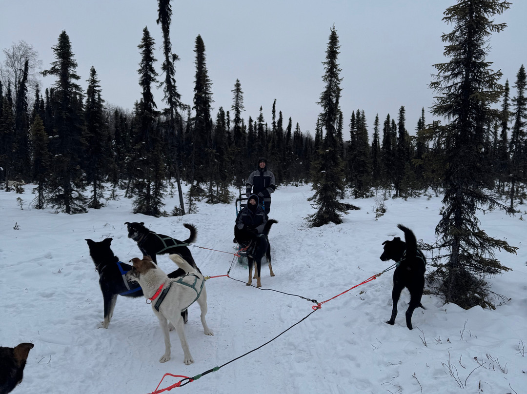 Snowhook Adventure Guides of Alaska-Willow必去景点
