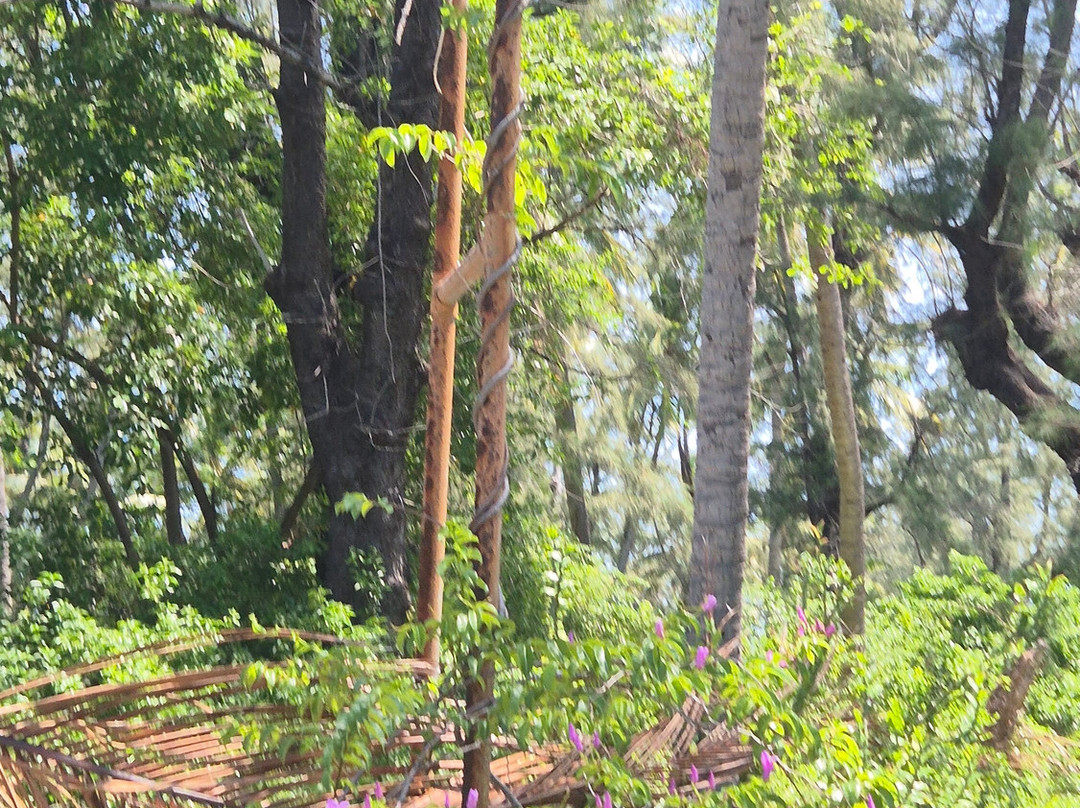 Bazaruto Incoming Agency-Vilanculos必去景点