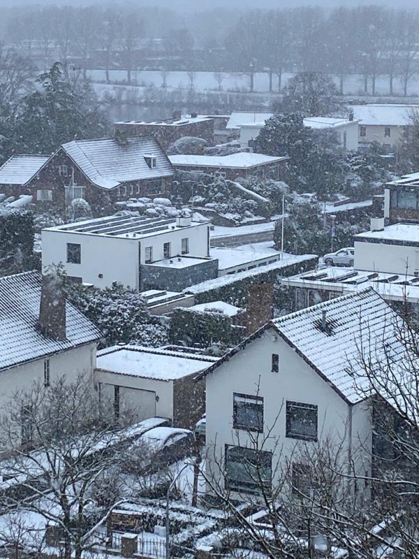 Hotel Paffhausen-官方