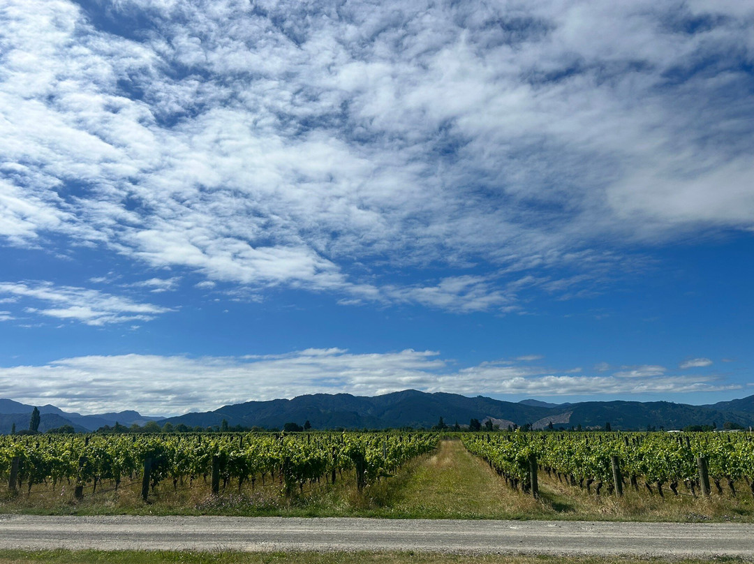 FROMM Winery-布伦海姆必去景点