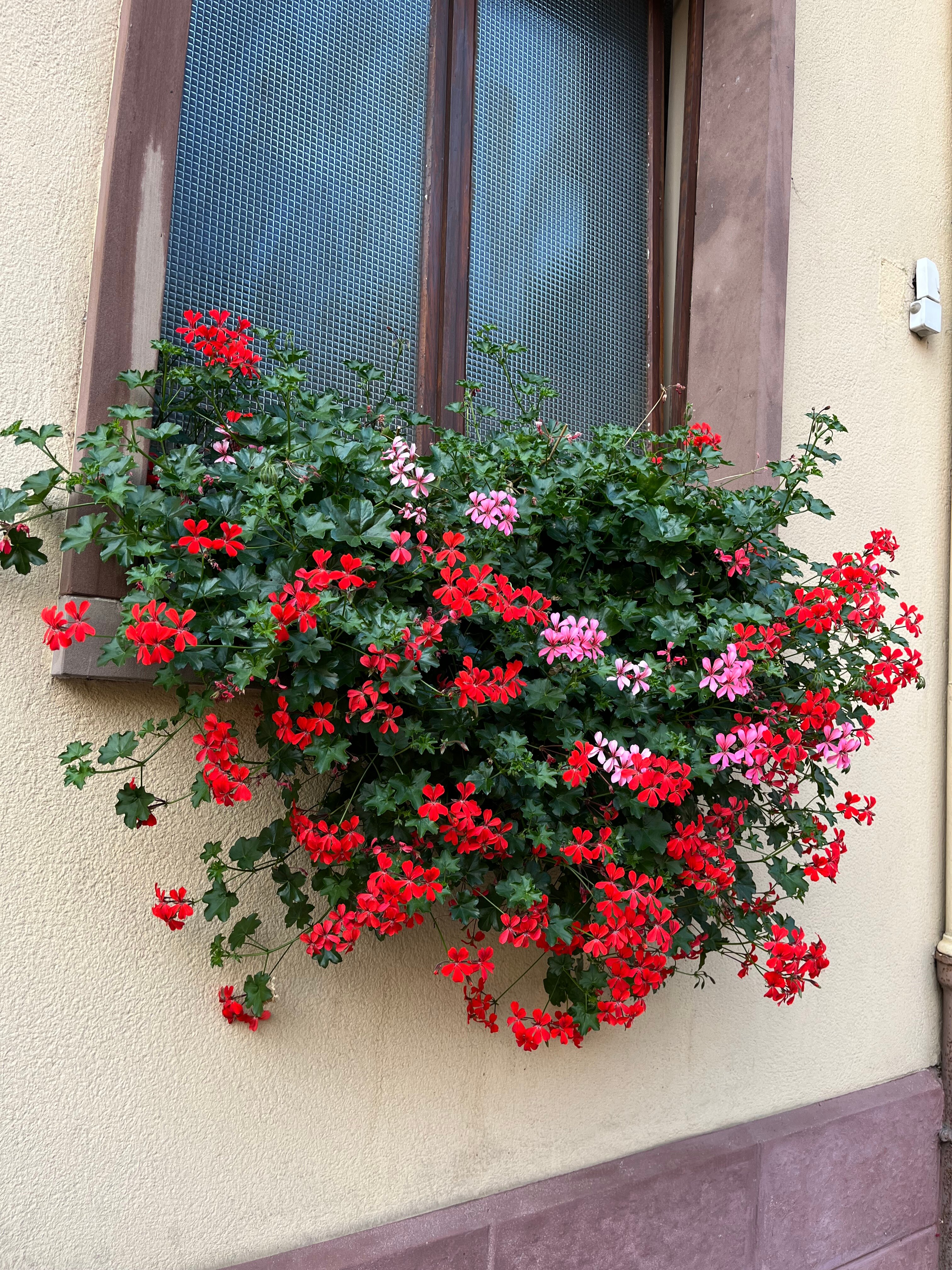 HOTEL DU PARC SPA & WELLNESS-官方