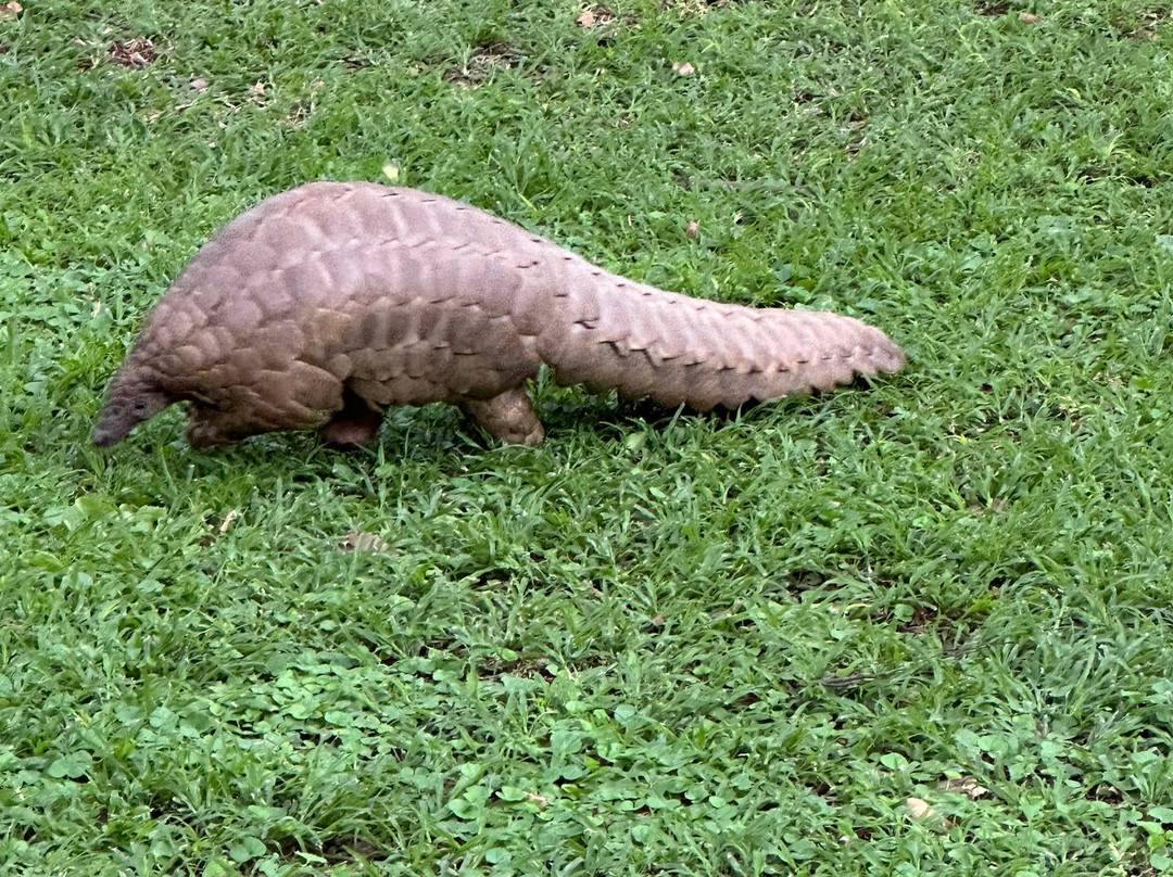 Wild Is Life-哈拉雷必去景点