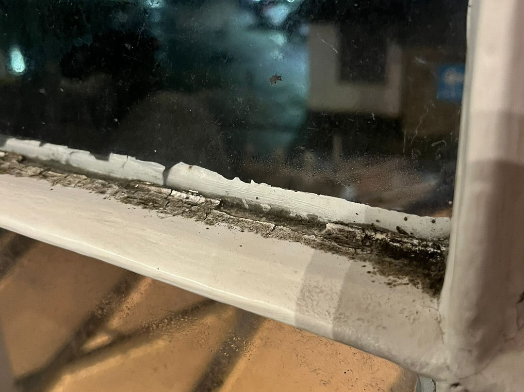 St Austell Brewery-圣奥斯特尔必去景点